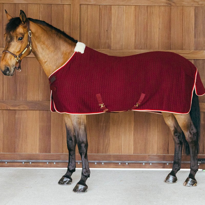 Kentucky Horsewear Cooler Rug PROtherm