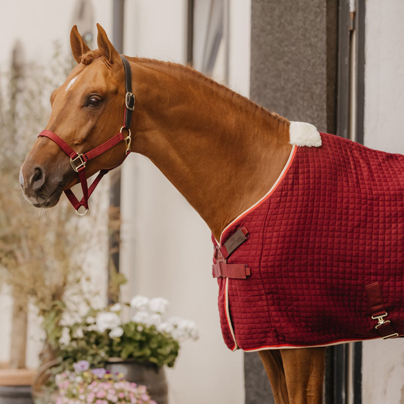 Kentucky Horsewear Cooler Rug PROtherm