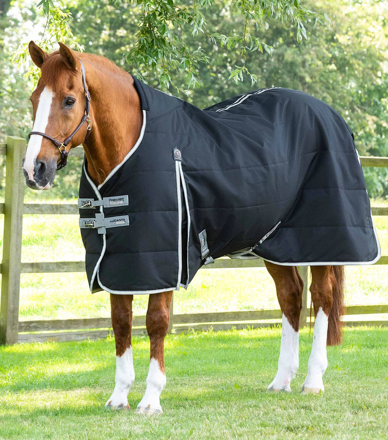 Premier Equine Lucanta Demi 100g Stable Rug