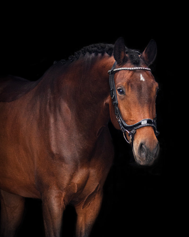 PresTeq FaySport Glitter Bridle - Black