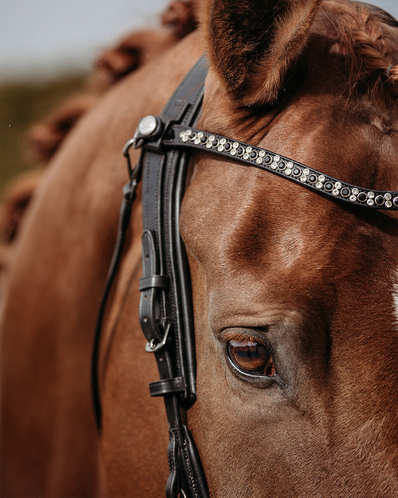 PresTeq FaySport Glitter Bridle - Black