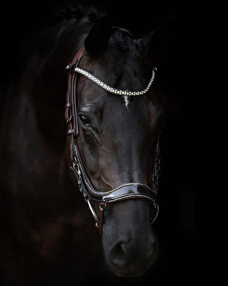 PresTeq FaySport Glitter Bridle Brown