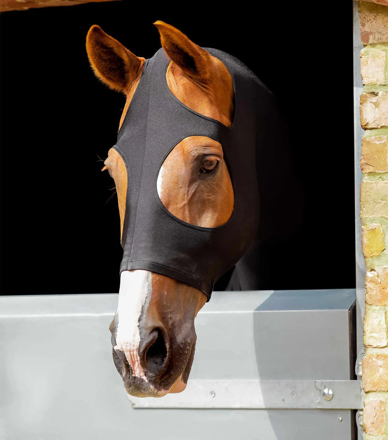 Premier Equine Stretch Lycra Hood