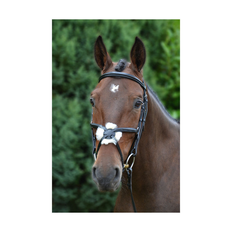 Hy Mexican Bridle with Rubber Grip Reins - Nags Essentials