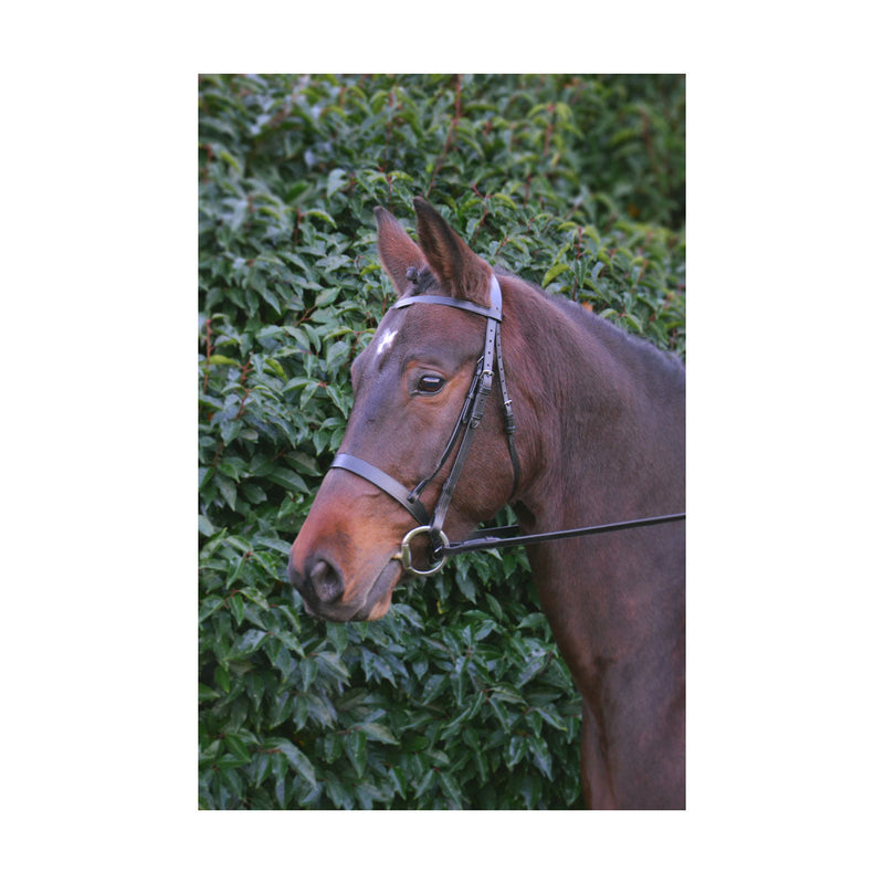 Hy Hunter Bridle with Rubber Grip Reins - Nags Essentials