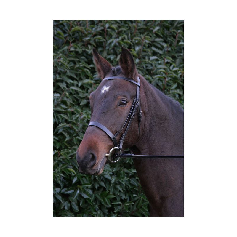 Hy Hunter Bridle with Rubber Grip Reins - Nags Essentials