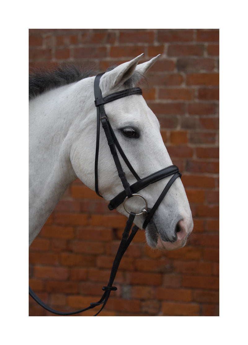 Hy Padded Flash Bridle With Rubber Grip Reins - Nags Essentials