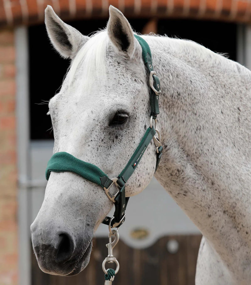 Premier Equine Fleece Padded Horse Head Collar