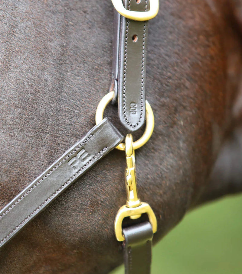 Premier Equine Pasco Plain Leather Head Collar Brown