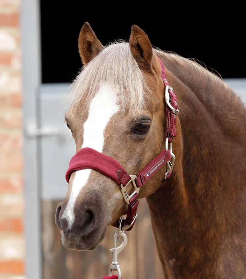 Premier Equine Fleece Padded Pony Head Collar