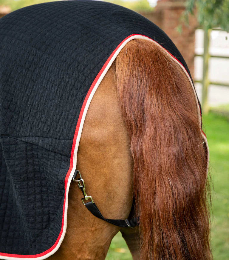 Premier Equine PremTex Horse Cooler Rug