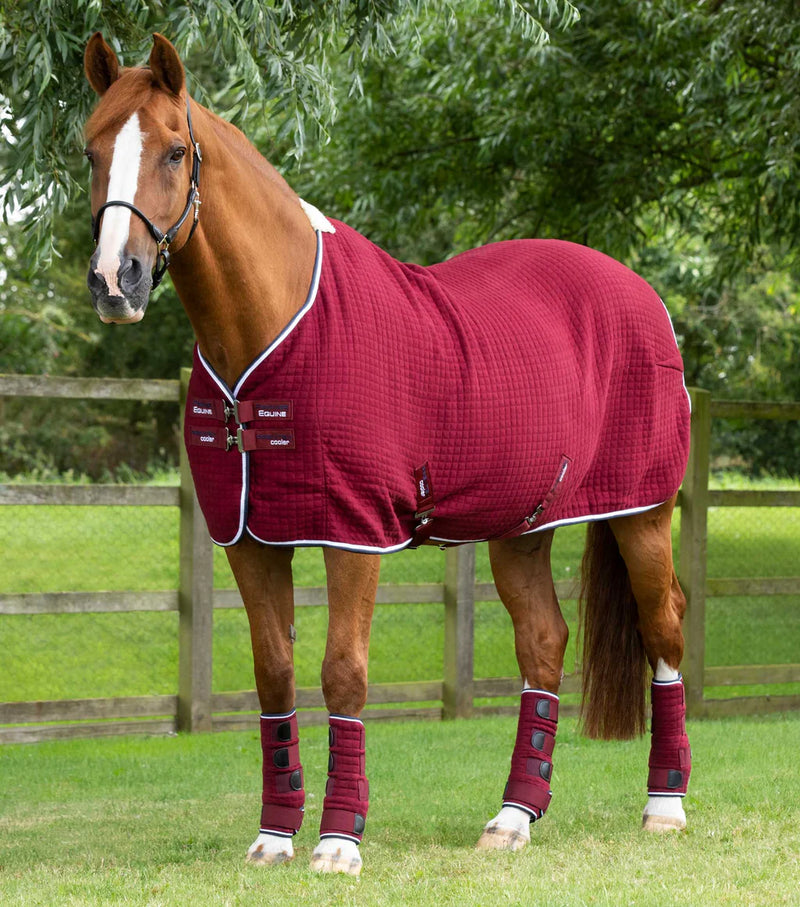 Premier Equine PremTex Horse Cooler Rug