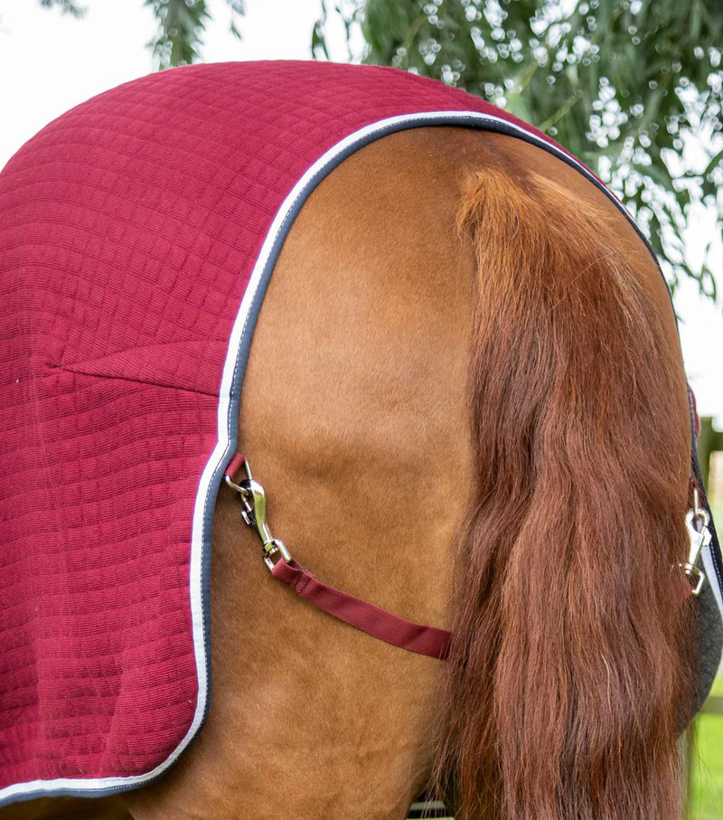 Premier Equine PremTex Horse Cooler Rug