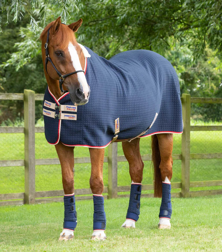 Premier Equine PremTex Horse Cooler Rug