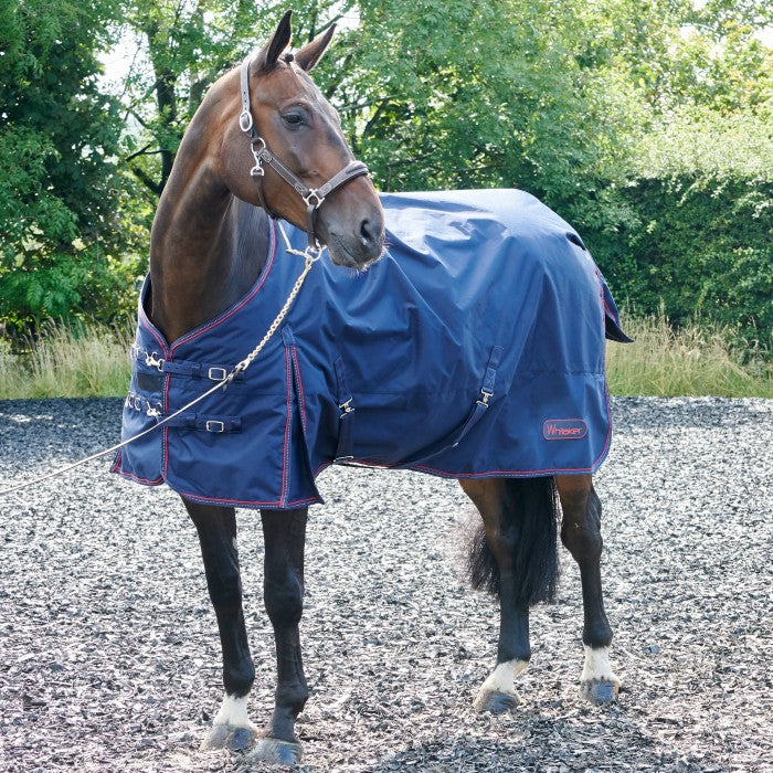 Whitaker Rastrick 200g Turnout Rug