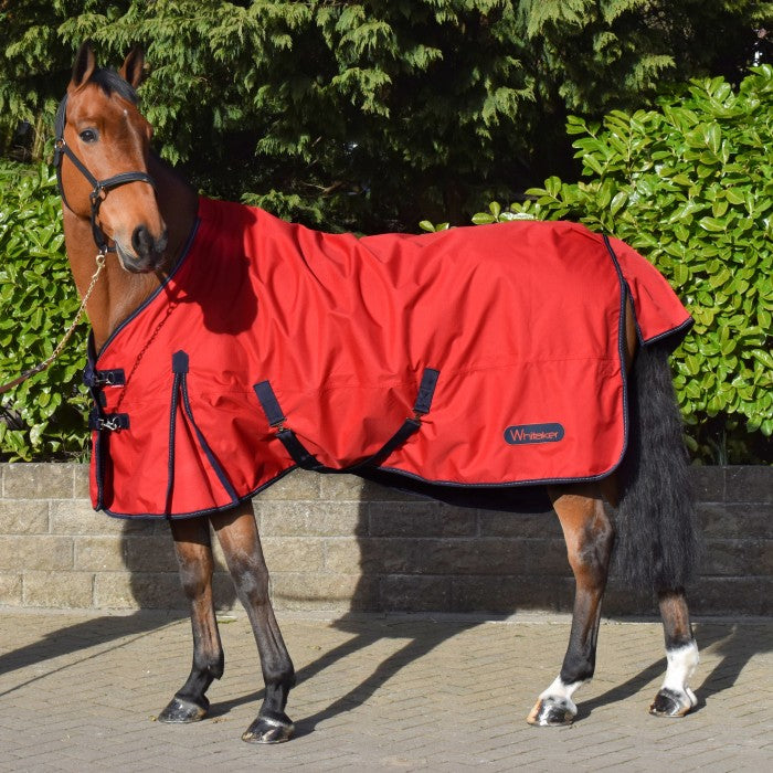 Whitaker Rastrick 0g Lightweight Turnout Rug