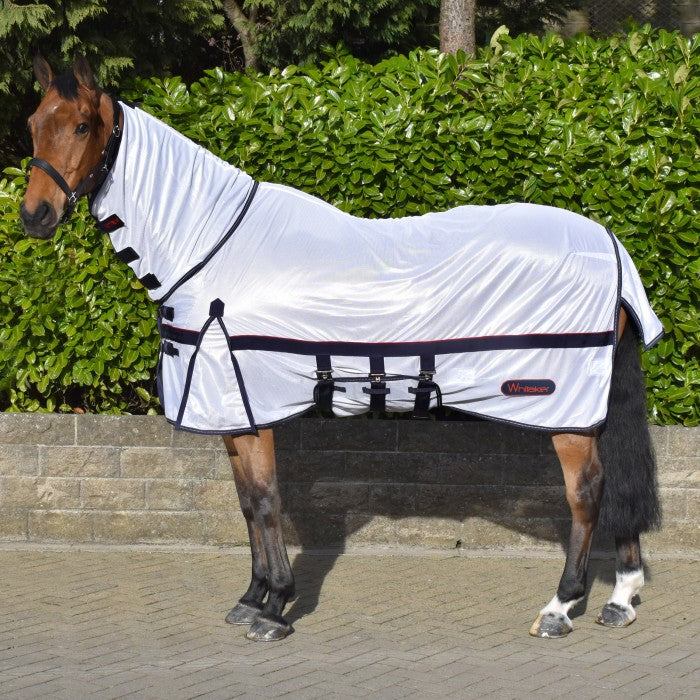 Whitaker Rastrick Combo Fly Rug