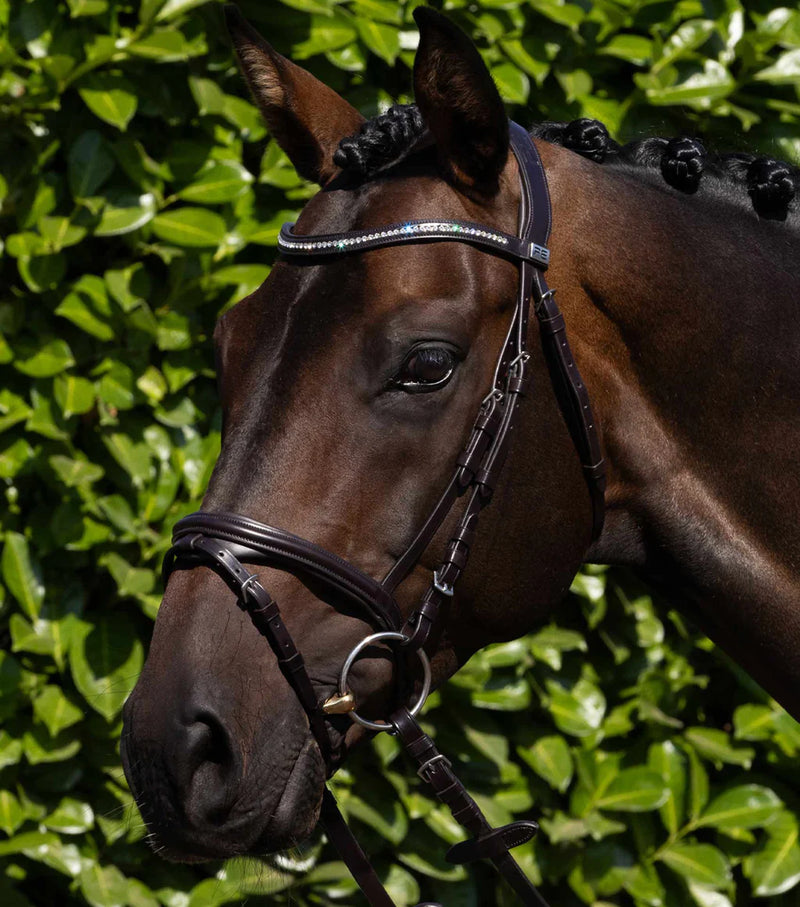 Premier Equine Rivere Snaffle Bridle