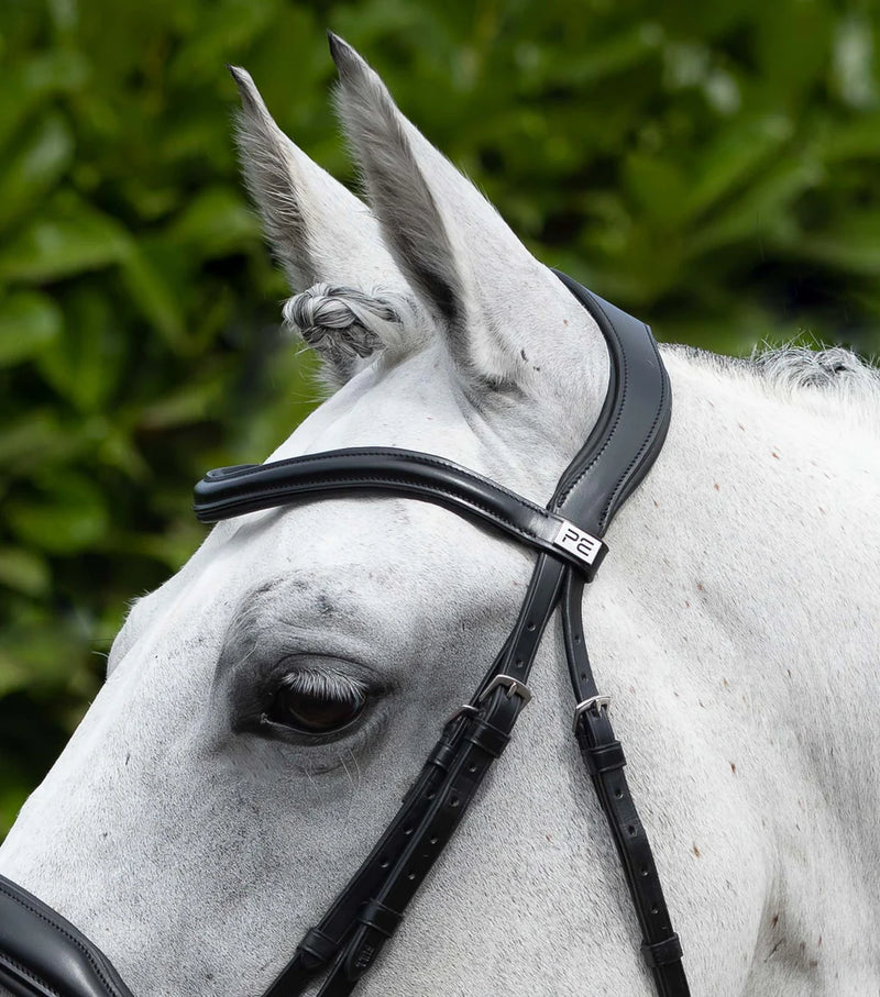 Premier Equine Rizzo Anatomic Snaffle Bridle with Flash