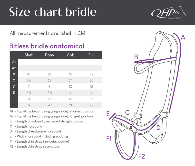 Anatomical Bitless Bridle