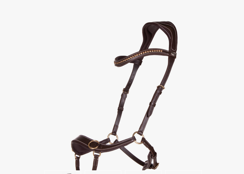 Anatomical Bitless Bridle