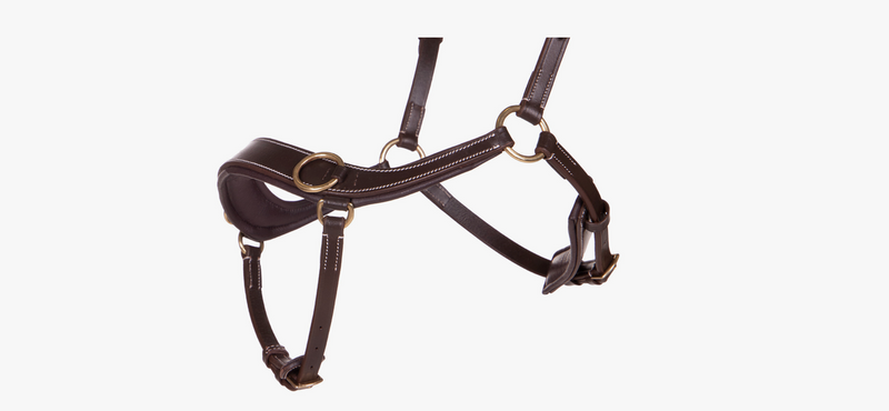 Anatomical Bitless Bridle