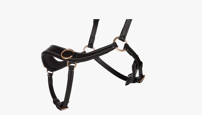 Anatomical Bitless Bridle