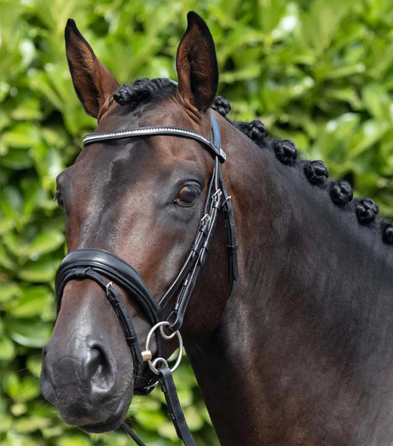 Premier Equine Stellazio Anatomic Snaffle Bridle with Flash