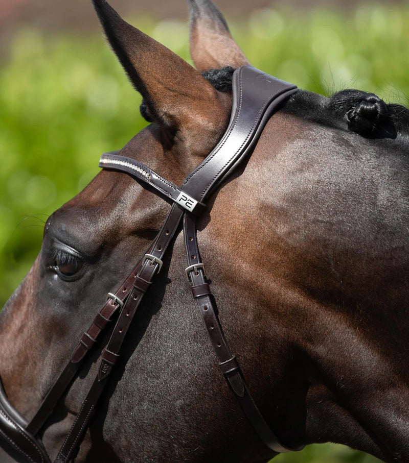 Premier Equine Stellazio Anatomic Snaffle Bridle with Flash