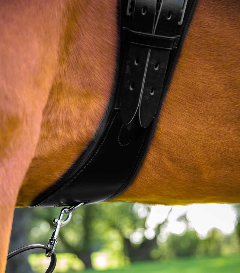 Premier Equine Tamarro Anatomic Leather Girth