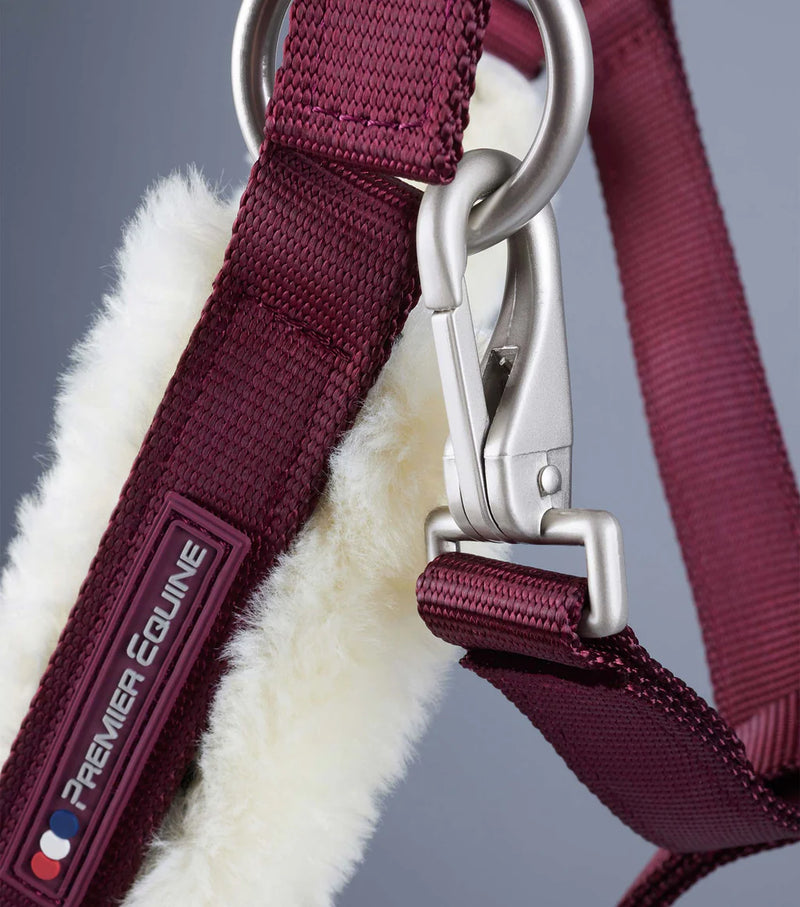 Premier Equine Techno Wool Lined Head Collar