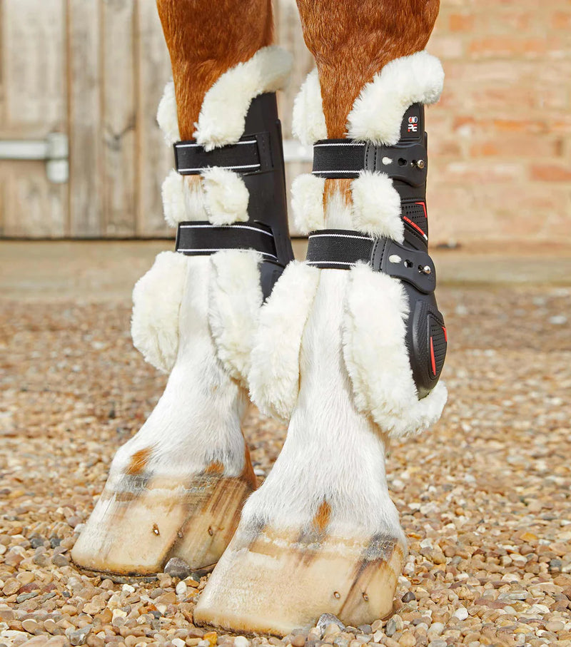 Premier Equine Techno Wool Tendon Boots