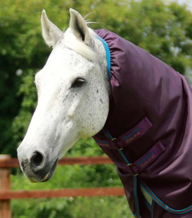 Premier Equine Titan 200g Turnout Rug with Snug Neck Cover