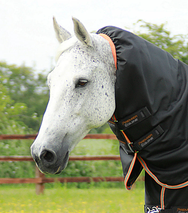 Premier Equine Titan 300g Turnout Rug with Snug-Fit Neck Cover