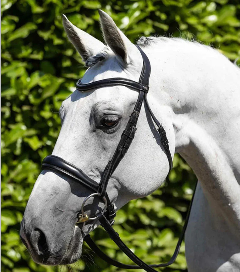 Premier Equine Verdura Anatomic Snaffle Bridle