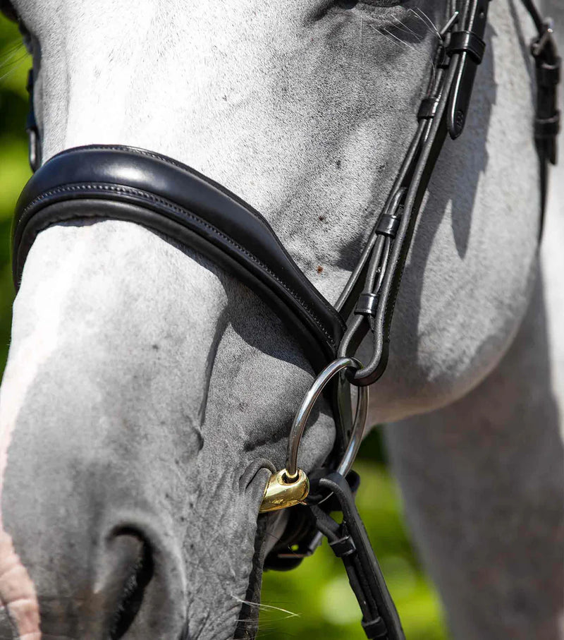 Premier Equine Verdura Anatomic Snaffle Bridle