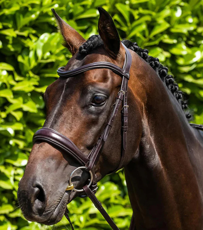 Premier Equine Verdura Anatomic Snaffle Bridle