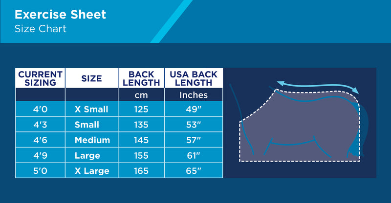 Weatherbeeta Reflective Wrap Around Exercise Sheet