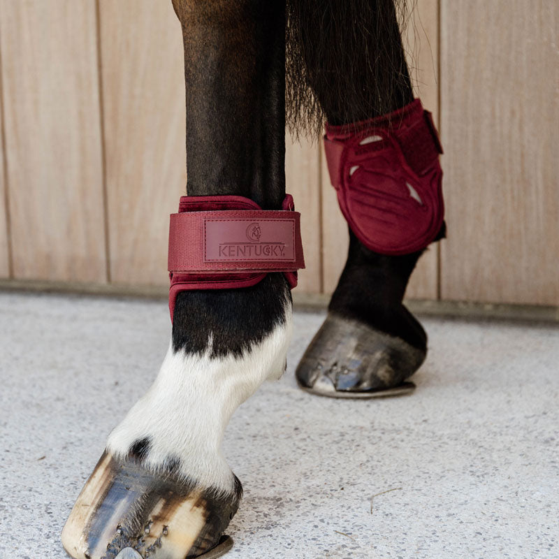 Kentucky Horsewear Young Horse Fetlock Boots Velvet – Bordeaux