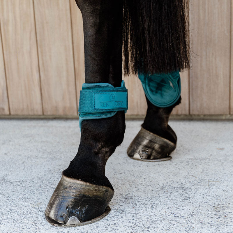 Kentucky Horsewear Young Horse Fetlock Boots Velvet – Emerald