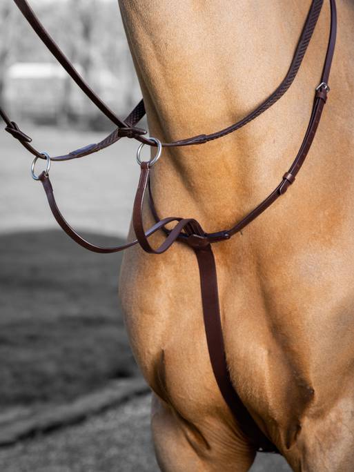 Lemieux Arika Running Martingale