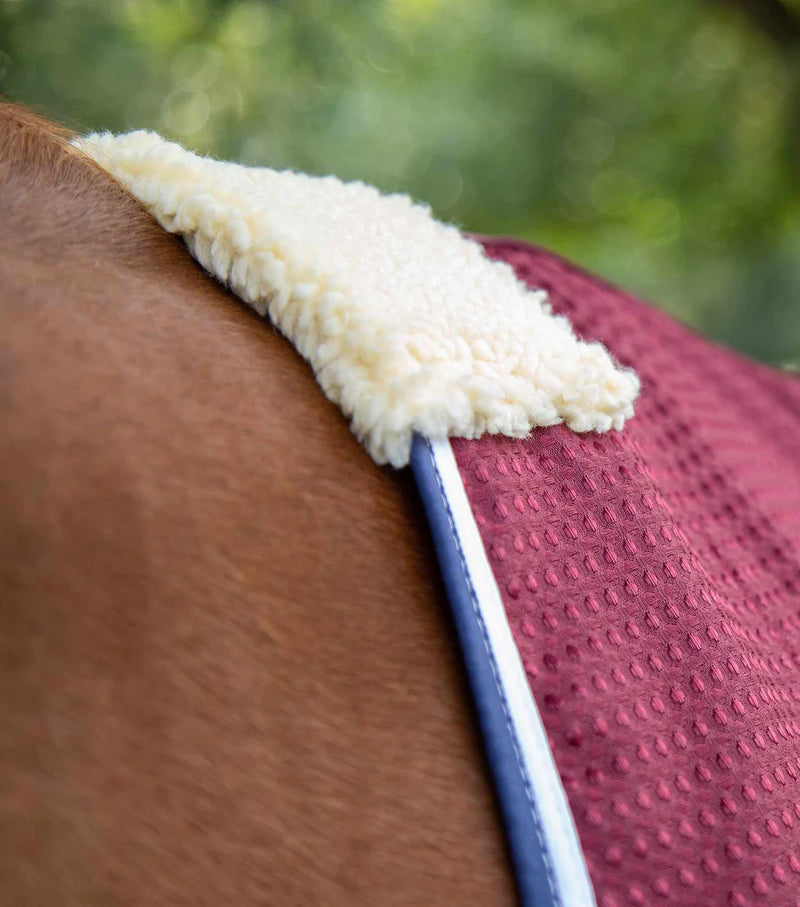 Premier Equine Buster Waffle Horse Cooler Rug