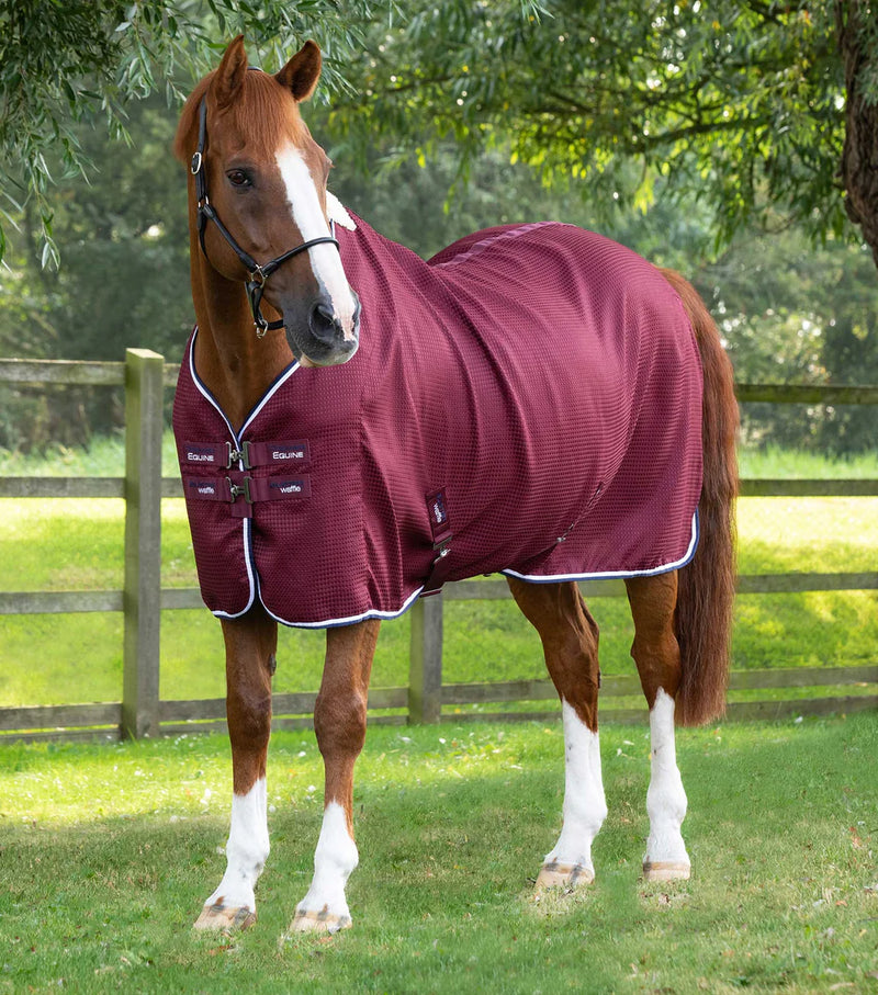 Premier Equine Buster Waffle Horse Cooler Rug