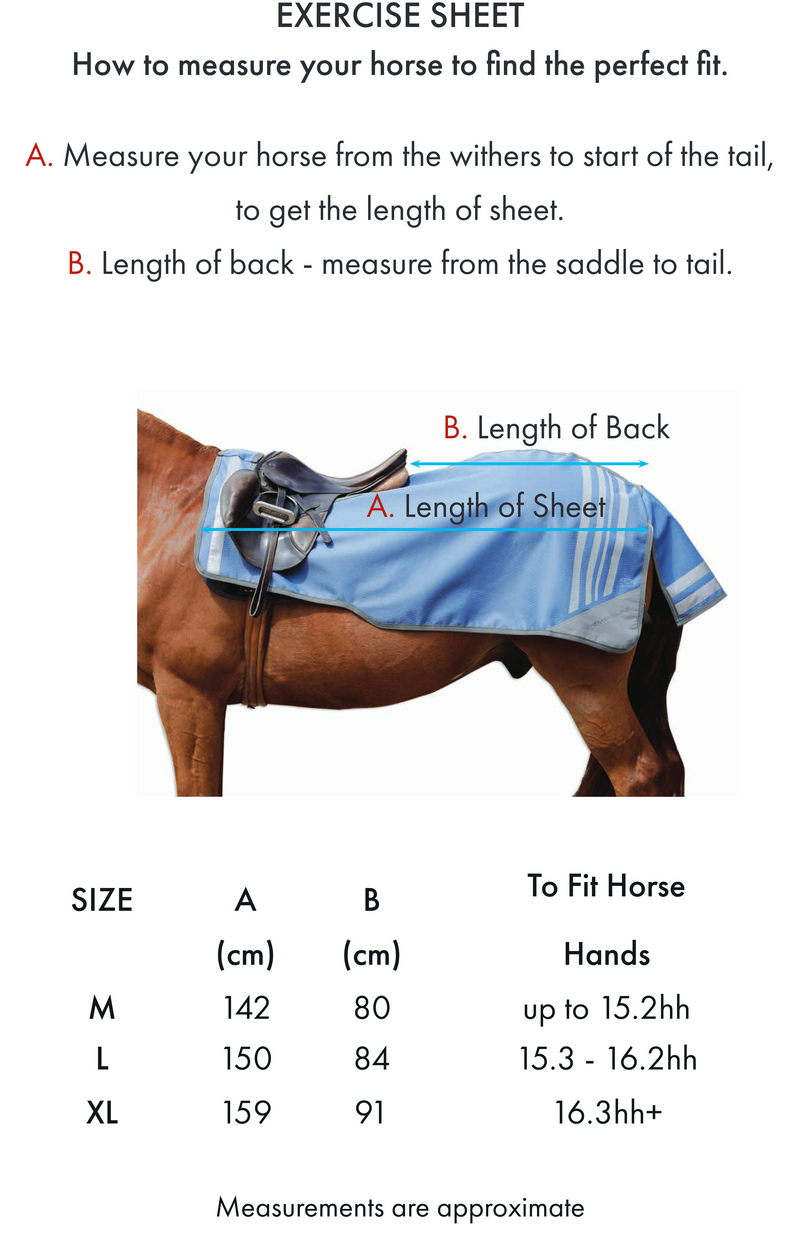 Premier Equine Horse Exercise Sheet