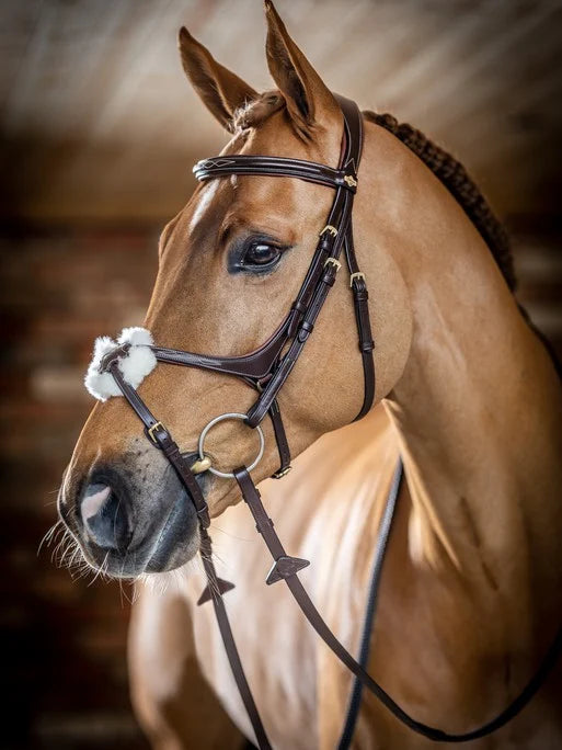 LeMieux Kudos Grackle Bridle