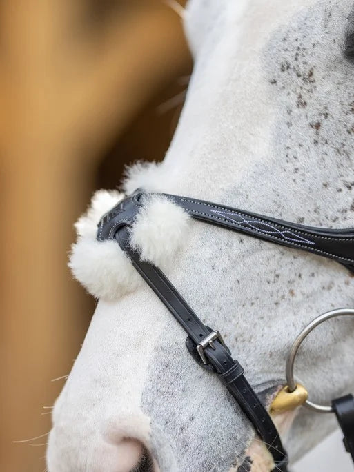 LeMieux Kudos Grackle Bridle