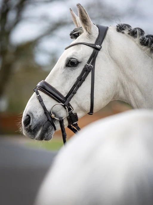 LeMieux Kudos Classic Dressage Bridle