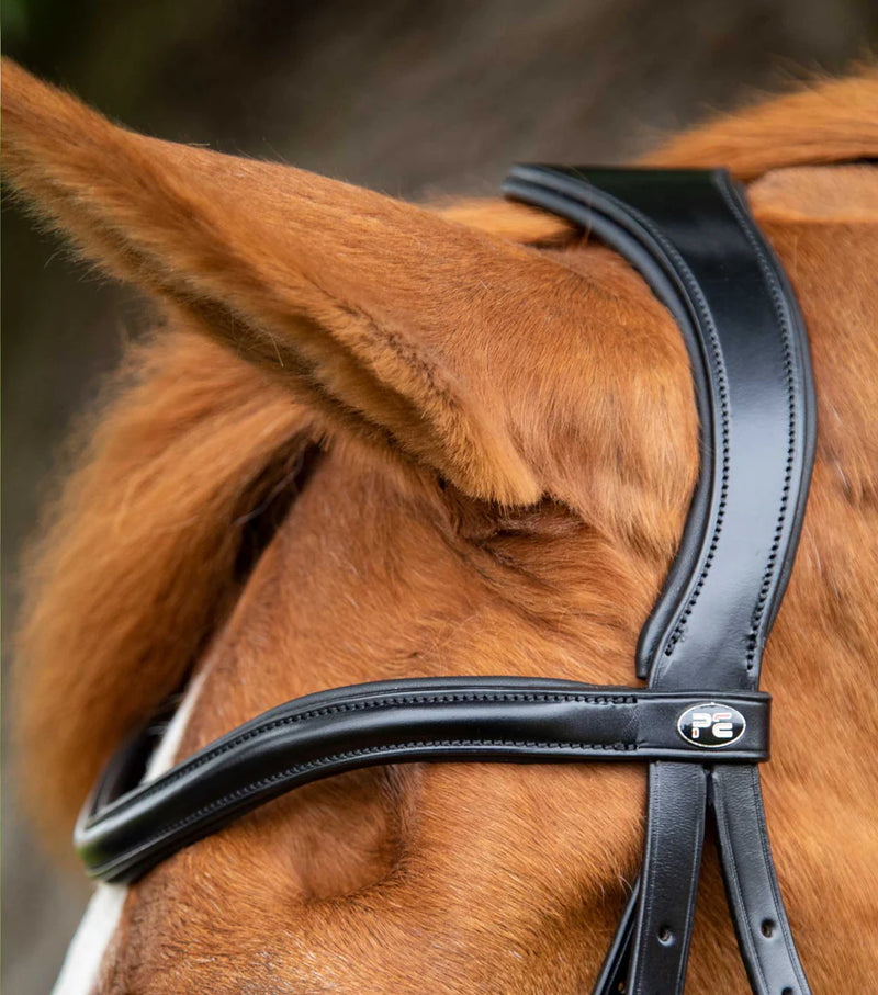 Premier Equine Glorioso Grackle Bridle Black