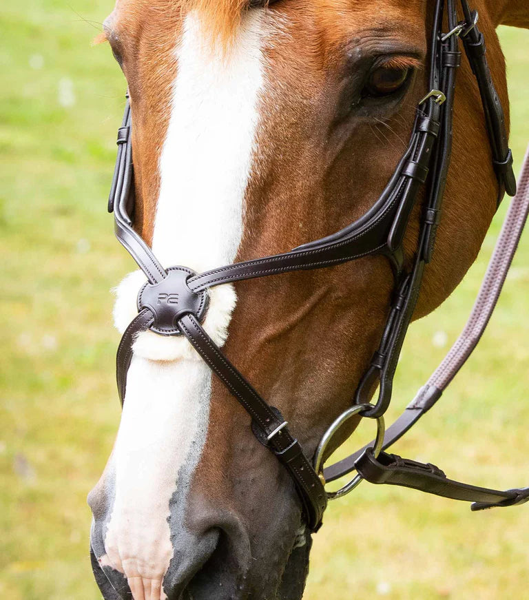 Premier Equine Glorioso Mexican Grackle Noseband