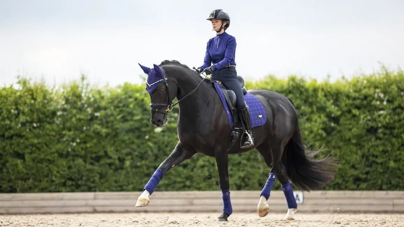 LeMieux Loire Memory Dressage Square